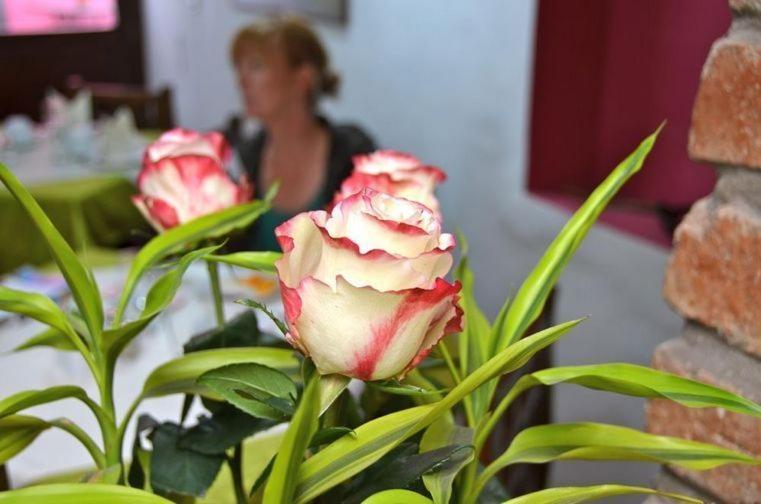 Casa De Las Rosas Cuenca Zimmer foto